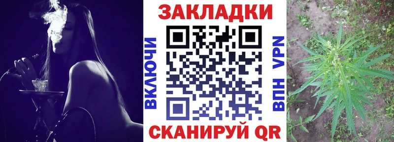 Купить закладку Гашиш  Псилоцибиновые грибы  МЕФ  Альфа ПВП  Калининец