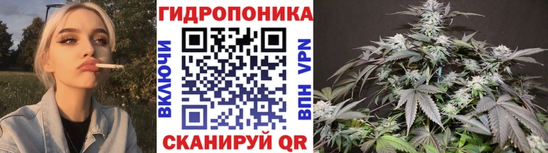 Купить  Калининец  Бошки марихуана MAZAR 